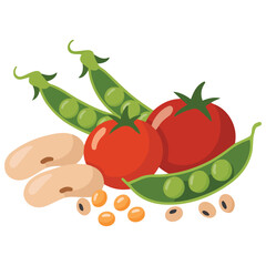 Pile of different dried beans and legumes heap vector illustration on white background