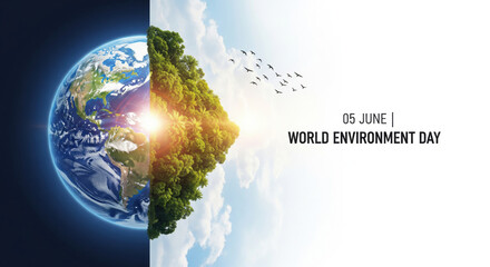 World environment day earth nature forest sunlight sky bird cloud green tree landscape clean air 05 June