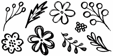 Hand Drawn Black Floral Elements and Berries on White Background flower berry