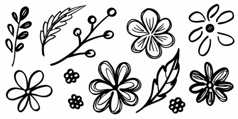 Hand Drawn Black Botanical Elements and Flowers on White Background floral berry