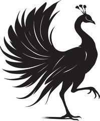 Fototapeta premium Elegant Black Silhouette of a Peacock