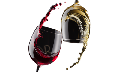 Two glasses of wine splashing, red and white wine, romantic concept, celebration, drinks