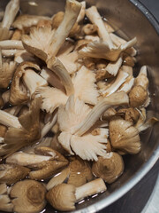Split mushrooms reveal tender gills in water.