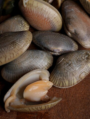 Clams display patterned shells with tender meat.