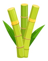 Obraz premium Sugarcane stalks illustration, white background