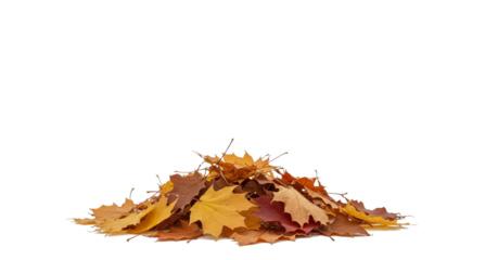 Pile of colorful autumn maple leaves isolated on a transparent background. The vibrant mix of yellow, orange, brown, and red foliage symbolizes fall season, nature, and change.
