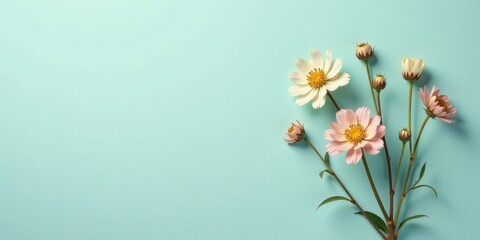 Pastel Blossoms Arranged on a Light Aqua Background, a Delicate Floral Composition Perfect for Springtime Designs