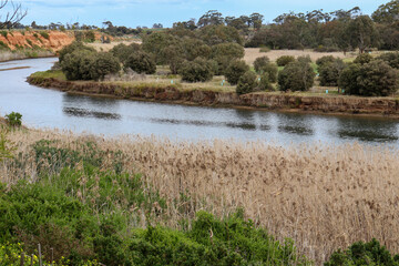 view of winding werribee river with grasses on riverbank