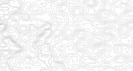 Business concept. Fish Fillet Texture, Salmon fillet texture, fish pattern. paper texture, Topographic contour map. similarcartography illustration.