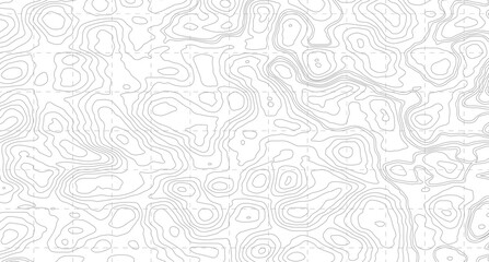 Topographic contour map. similarcartography illustration. Business concept. Fish Fillet Texture, Salmon fillet texture, fish pattern. paper texture  