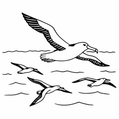 A flock of albatrosses soaring over wavy ocean waters in a simple black and white line drawing style