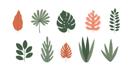 Fresh tropical foliage collection for modern design projects and branding with botanical elegance and natural charm