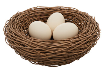 Isolated bird's nest made of twigs with three chicken eggs inside, studio shot of brown twigs and oval-shaped white eggs, close-up detailed view