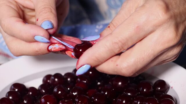 Fast pitting cherries or sweet cherries using a paper clip for cherry pie preparation.