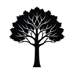 Obraz premium Majestic black silhouette tree with wide spreading branches