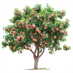 Fototapeta premium vector illustration of a tree with png white background isolated