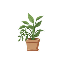 A vibrant houseplant in a terracotta pot stands out against a stark black background.