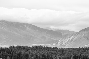 Black and white landscape of rolling mountains partially covered by clouds with dense pine forest...