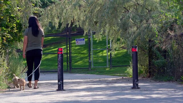 Back view of an Asian woman walking her two small dogs on a greenway paved path on a warm day