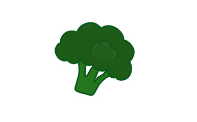 broccoli with a green stem and florets.