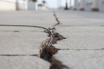 Fototapeta premium Deep crack urban concrete sidewalk reveals exposed cable, worrying sign of structural damage