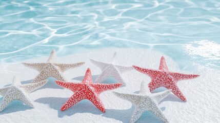 Starfish on sandy shoreline