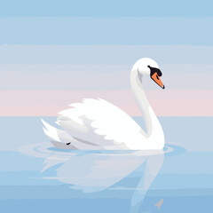 Obraz premium swans on the lake