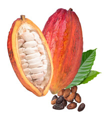 cocoa beans and pod highlighting chocolate's raw origins
