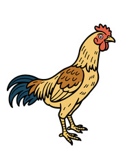 rooster isolated on white background