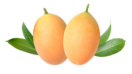 ripe marian plums with green leaves on a transparent background