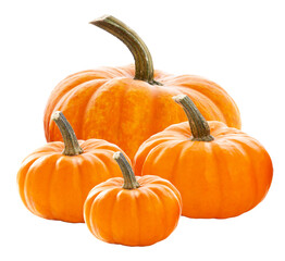group of pumpkins in a harvest arrangement