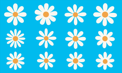 Flat Design Daisy Flower Set