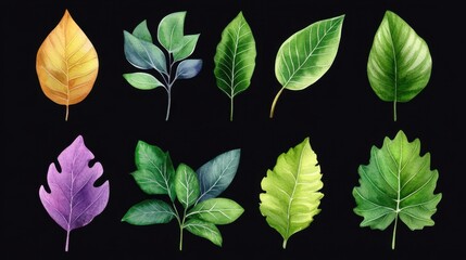 Fototapeta premium Hand-painted foliage collection with botanical watercolor style