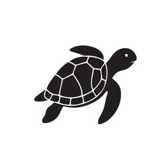 vector illustration of a turtle