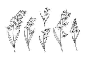 Elegant bluebell flower silhouette collection for natural beauty and botanical designs