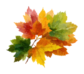 Vibrant autumn leaves collection nature watercolor bright colors isolated on transparent background
