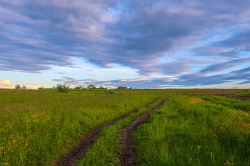 ​A summer landscape with a dirt road disappearing into the distance amidst green meadows. The vibrant blue sky with dramatic gray clouds gives the image depth and dynamism.