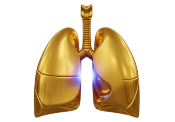 A detailed 3D rendering of two golden lungs against a black backdrop, highlighting internal structure with a subtle, vibrant light effect.