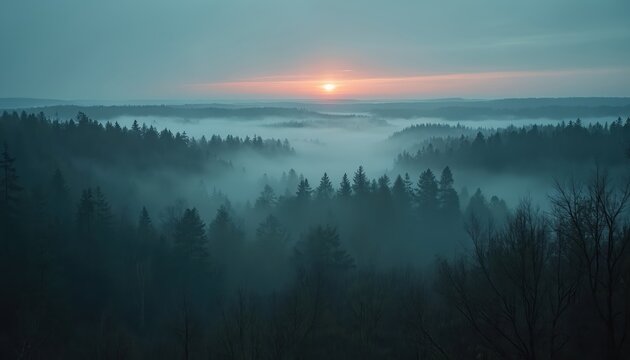 Misty forest landscape at sunrise in Uppsala, Sweden. Dense fog rolls through valleys filled with evergreen trees. Soft dawn light breaks through atmospheric haze creating moody, mysterious natural