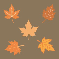 Fototapeta premium Autumn Leaves Collection Flat Line Art Style