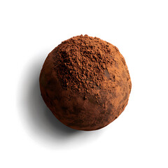 A single chocolate truffle coated in cocoa powder, presented against a white background.