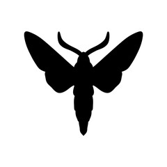 black and white moth silhouette isolated on white background. butterfly vector illustration. moth, insect, butterfly, wings, art, design, illustration, graphic, nature