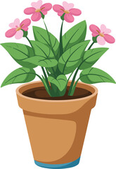 flower in a pot