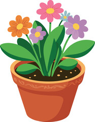 flower in pot
