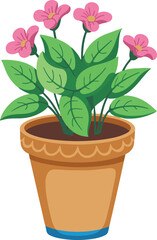 flower in pot