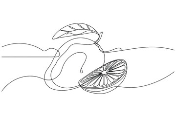 Minimalist continuous line drawing of a whole lemon and a sliced lemon with leaves and abstract wavy lines