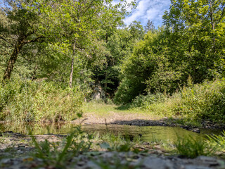 Thommen, Liege, Belgium, A serene and peaceful forest landscape showcasing a scenic pathway that runs alongside a gentle stream