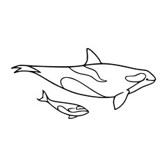 whale drawing with baby in simple line art