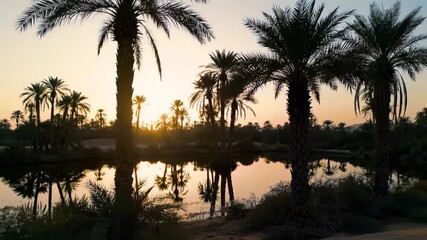 Timelapse of a desert oasis at sunrise with silhouetted palm trees reflecting in golden water - Powered by Adobe