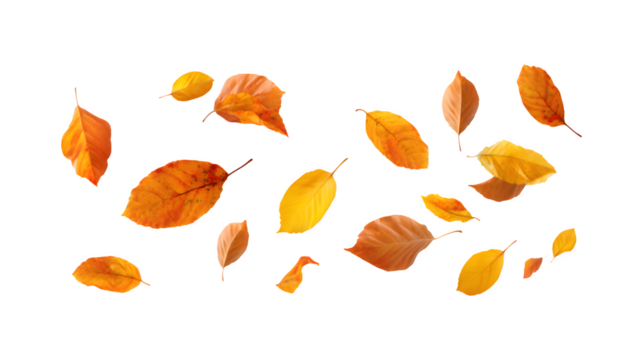 Falling autumn leaves creating a picturesque seasonal scene
